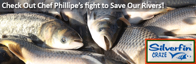 Chef Philippe's Campaign for the Asian Carp Problem